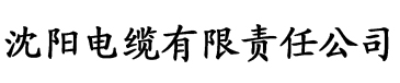 国产成人av无码精品色欲电缆厂logo